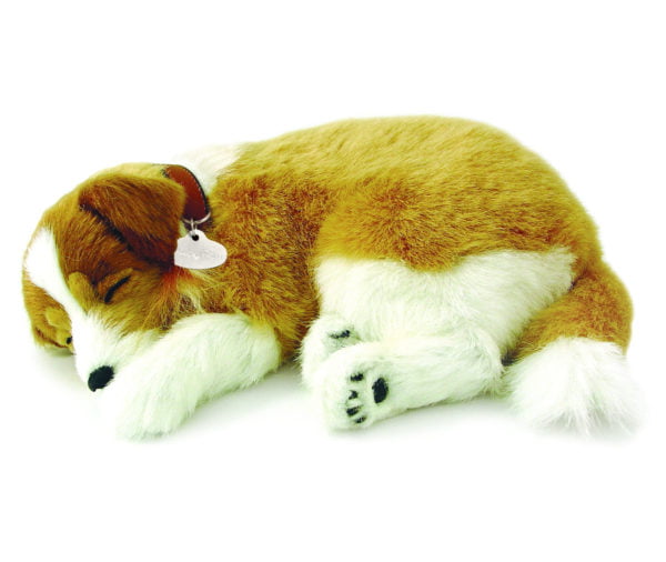 Collie