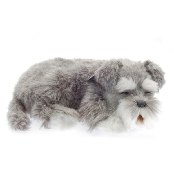 Schnauzer