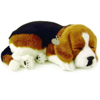 Puppys