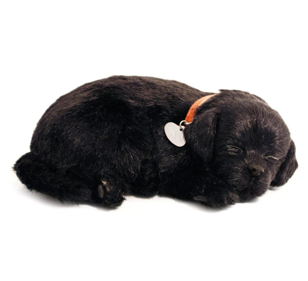 Black Lab
