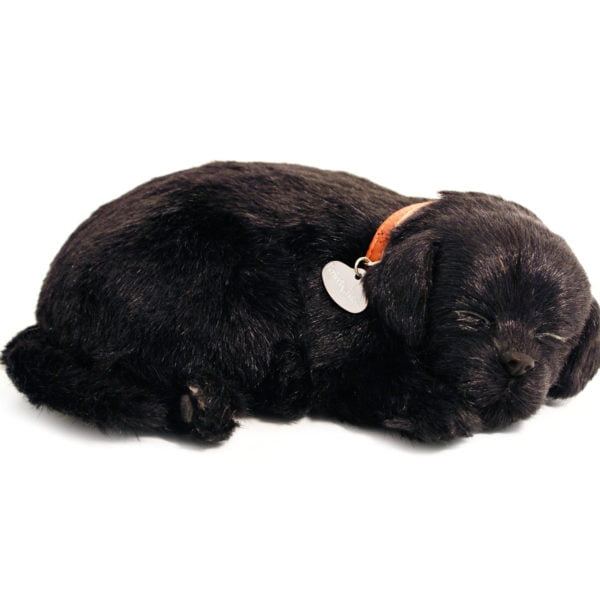 Black Lab