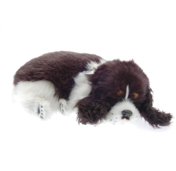 Cocker Spaniel