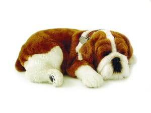 Bulldog