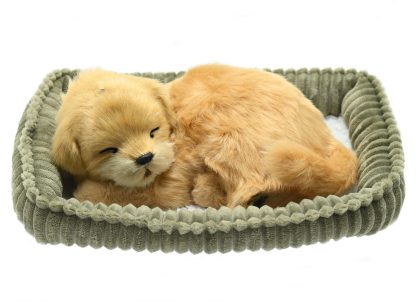 Golden Retriever Wag Tail
