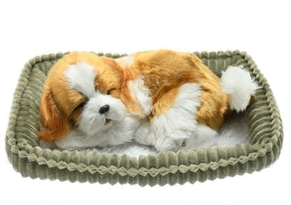 Cavalier King Charles Wag Tail